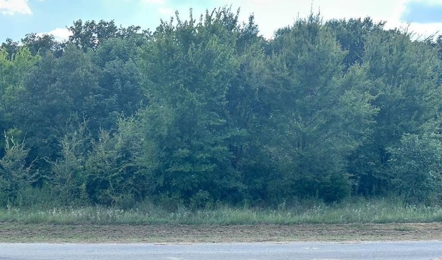 Rs Private Road 6372, Alba, TX 75410 - 0 Beds, 0 Bath