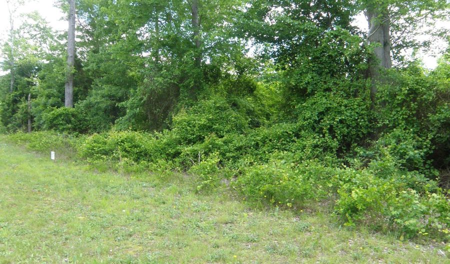 SHORTLY RD. 133-9.00-9.22 lot F, Georgetown, DE 19947 - 0 Beds, 0 Bath