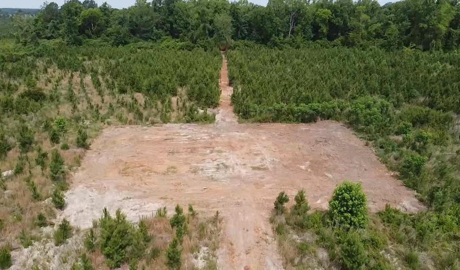 Attadale Rd lot 2, Blenheim, SC 29516 - 0 Beds, 0 Bath