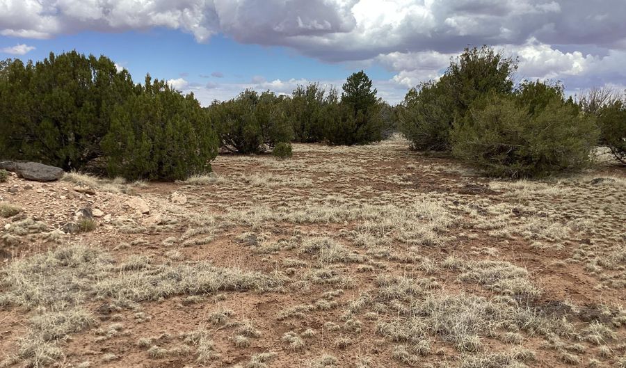 207 8056, Concho, AZ 85924 - 0 Beds, 0 Bath