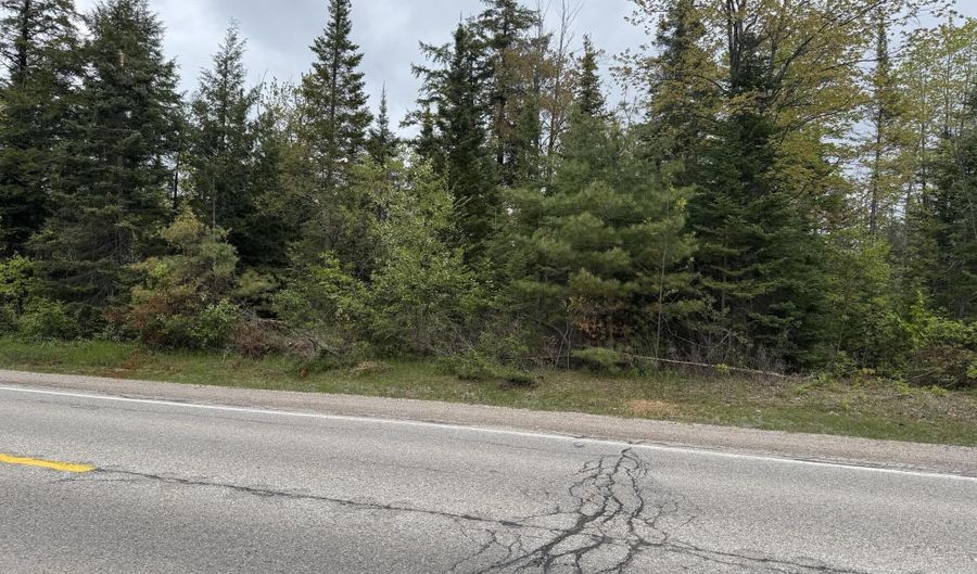 W M-68, Alanson, MI 49706 - 0 Beds, 0 Bath