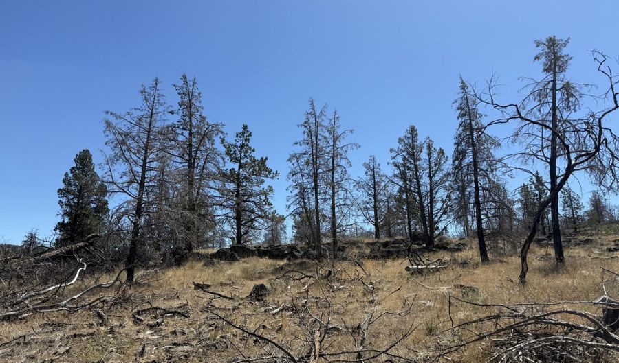 0 Wren Dr Lot 6, Bonanza, OR 97623 - 0 Beds, 0 Bath
