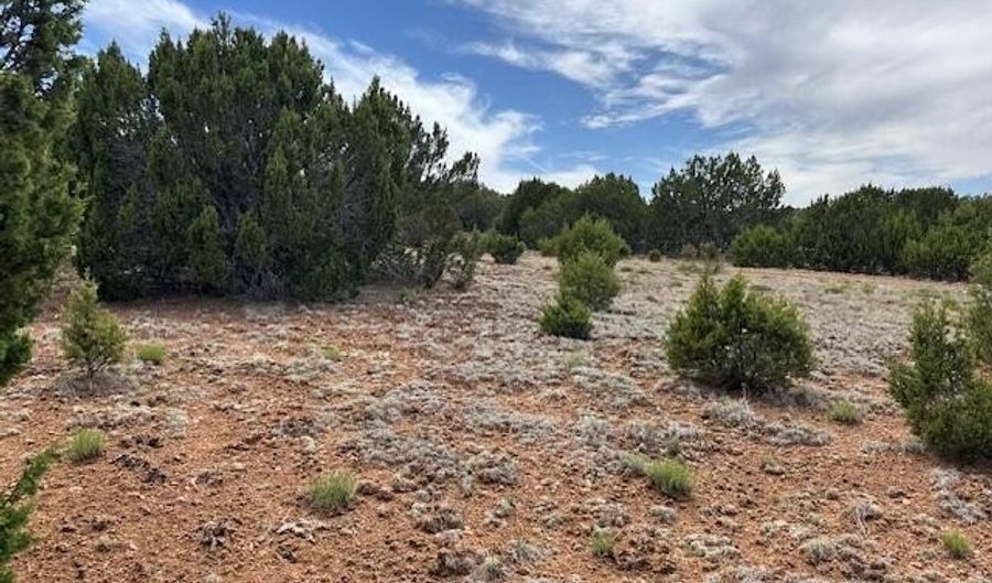50 County Road 3048, Concho, AZ 85924 - 0 Beds, 0 Bath