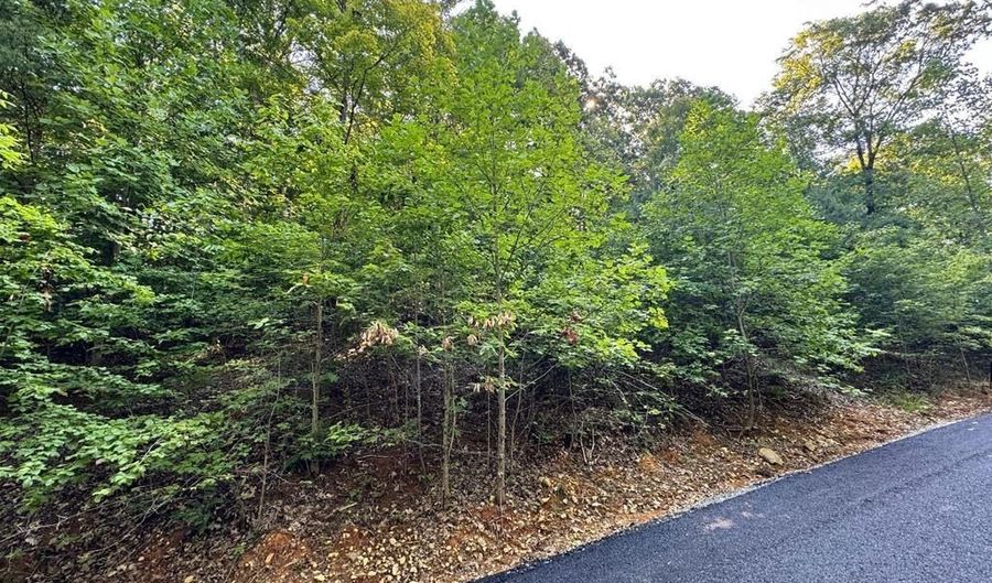 626 N Pointe Trl Lot 68, Allons, TN 38541 - 0 Beds, 0 Bath
