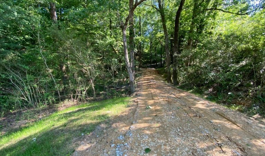 Tract 2 Hwy 51S, Homer, GA 30547 - 0 Beds, 0 Bath