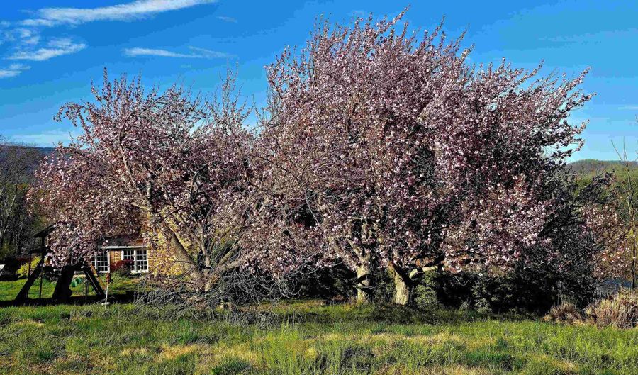 128 ROCKFISH ORCHARD Dr, Afton, VA 22920 - 4 Beds, 4 Bath