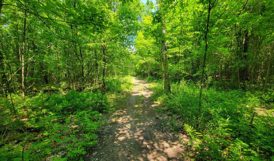 21 Nickerson Rd, Brandon, VT 05733 - 0 Beds, 0 Bath