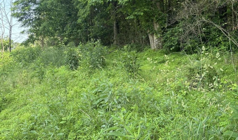 Tbd Reedy Creek Rd, Abingdon, VA 24210 - 0 Beds, 0 Bath