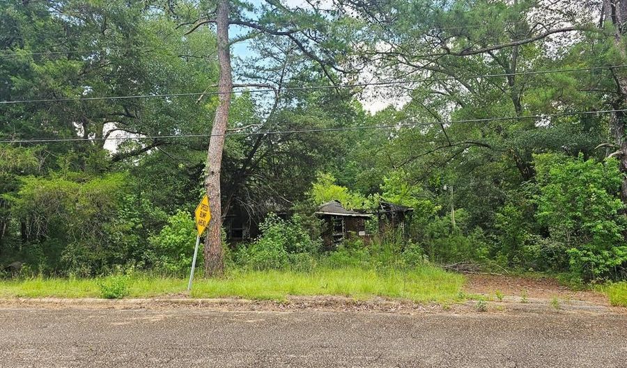 200 Phillips St, Abbeville, AL 36310 - 0 Beds, 0 Bath