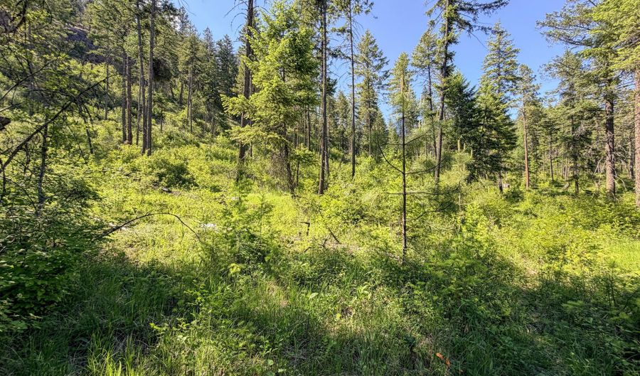 2008- TBD LOTS A-D SUMMIT VALLEY Rd, Addy, WA 99101 - 0 Beds, 0 Bath