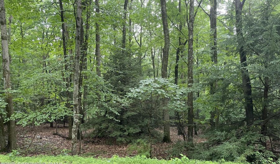 707 Walnut Ln, Albrightsville, PA 18210 - 0 Beds, 0 Bath