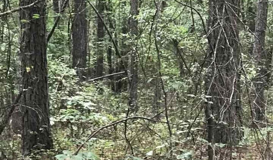 HIGHWAY 191 lot 39, Alpine, AL 35014 - 0 Beds, 0 Bath