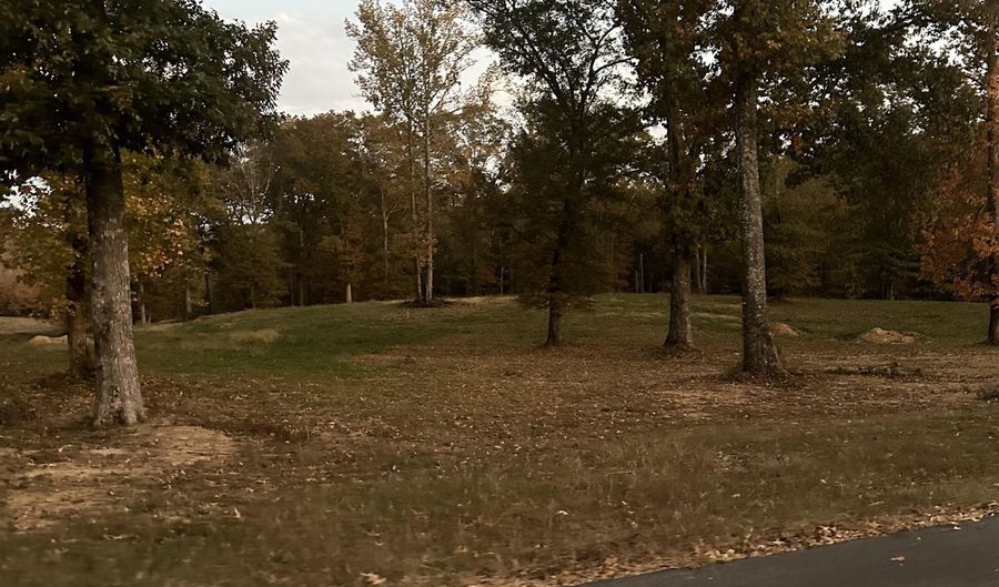 102 River Rd, Altoona, AL 35952 - 0 Beds, 0 Bath
