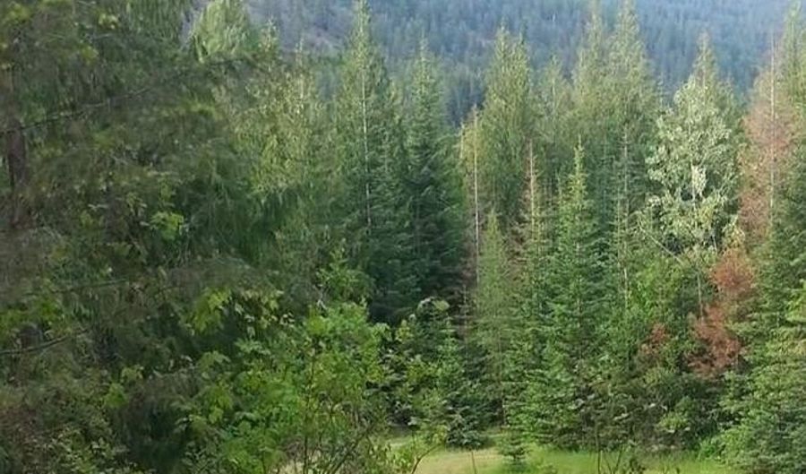 BLK 3 LOT 8 UNIT 1, Bayview, ID 83803 - 0 Beds, 0 Bath