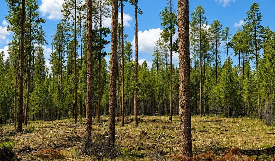 Mitchell Lane lot 8 Tbd, Anaconda, MT 59711 - 0 Beds, 0 Bath