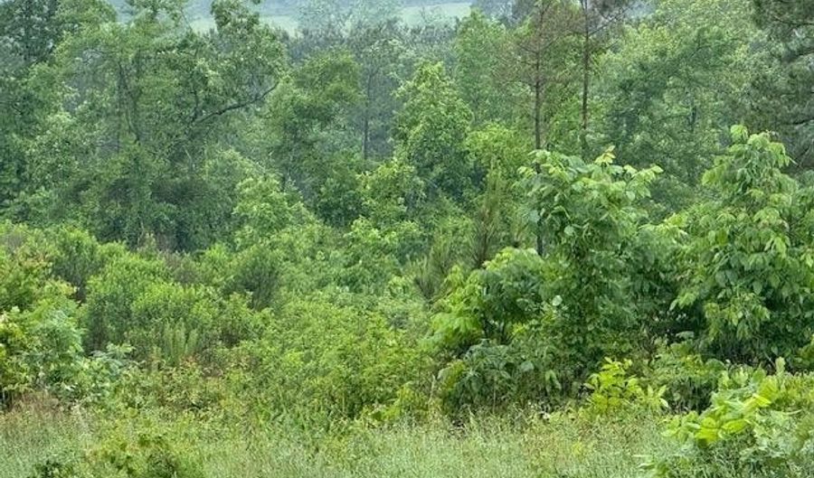 300 Block ANGEL, Amity, AR 71921 - 0 Beds, 0 Bath
