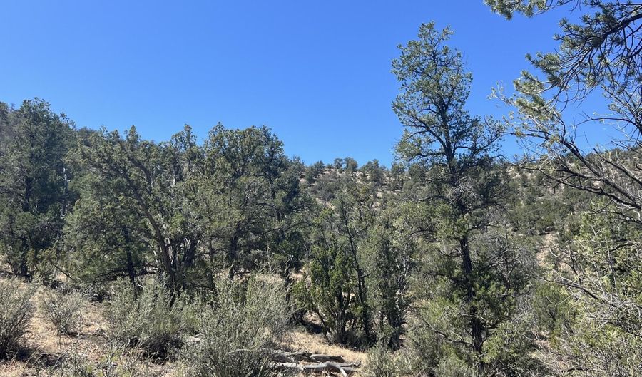 212 Arizona Rd, Ash Fork, AZ 86320 - 0 Beds, 0 Bath