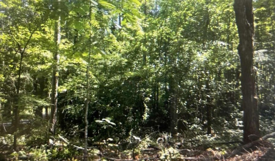 GEMINI CIRCLE lot 53, Alpine, AL 35014 - 0 Beds, 0 Bath