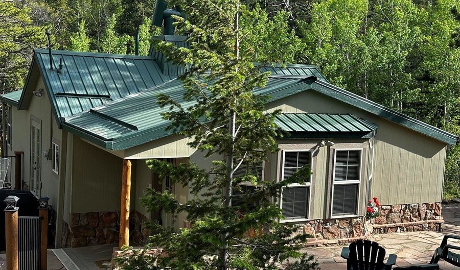 131 County Road 90, Allenspark, CO 80510 - 1 Beds, 1 Bath