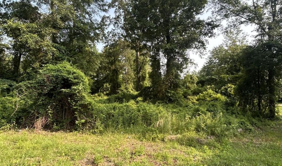 00 Love St St, Brookhaven, MS 39601 - 0 Beds, 0 Bath