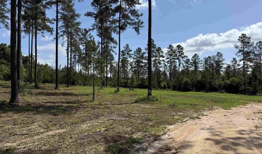 8450 Robinsonville Rd, Atmore, AL 36502 - 0 Beds, 0 Bath