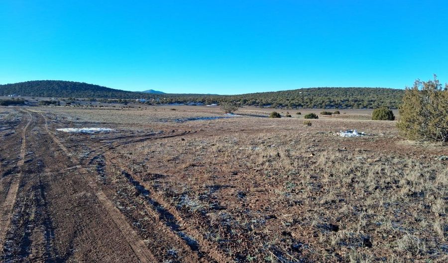 92 County Road 8223, Concho, AZ 85924 - 0 Beds, 0 Bath