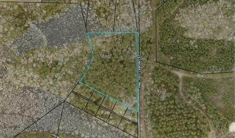 Pine Tree Landing Road, Andrews, SC 29510 - 0 Beds, 0 Bath