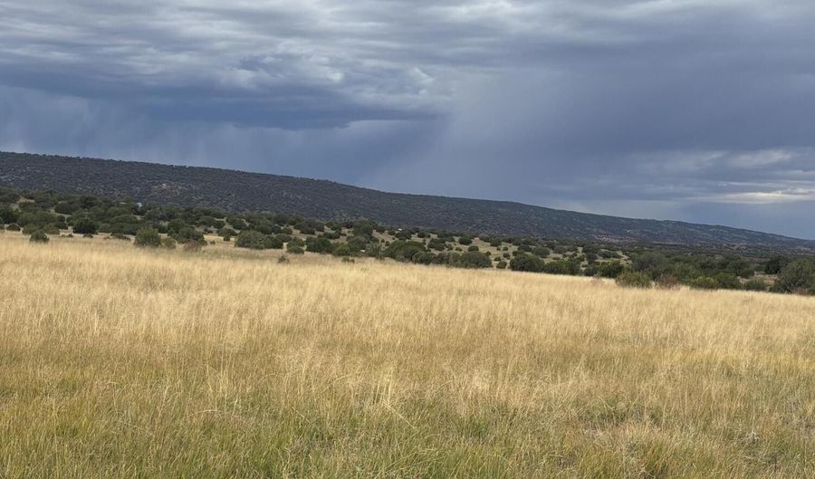 N8485, Concho, AZ 85924 - 0 Beds, 0 Bath