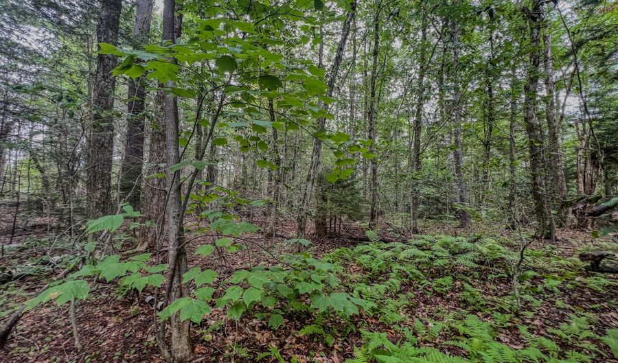 Johnson Rd lot 9, Becket, MA 01223 - 0 Beds, 0 Bath