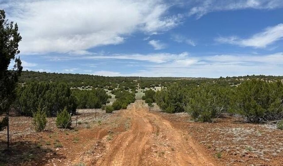 44 County Road 3048, Concho, AZ 85924 - 0 Beds, 0 Bath