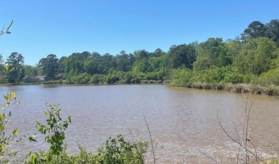 Lot 5 Lake Jennifer Dr, Americus, GA 31709 - 0 Beds, 0 Bath