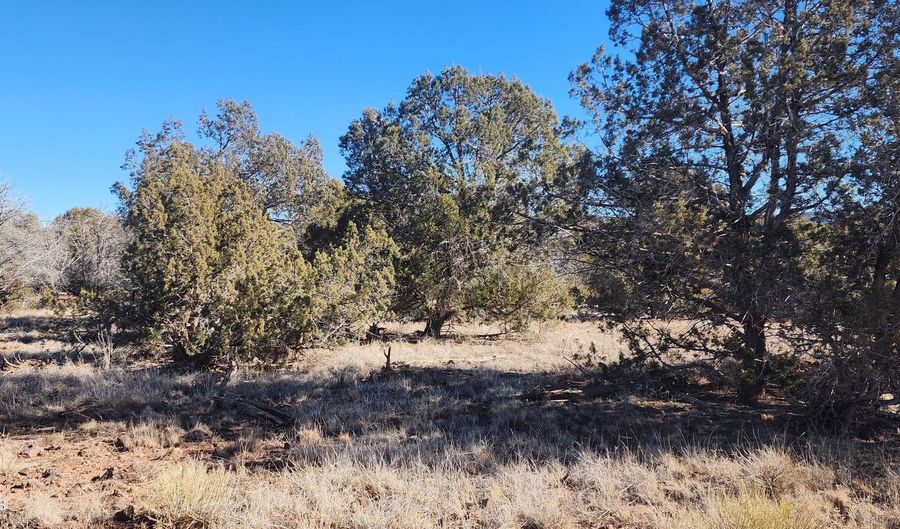 2113 W Skyline Dr, Ash Fork, AZ 86320 - 0 Beds, 0 Bath