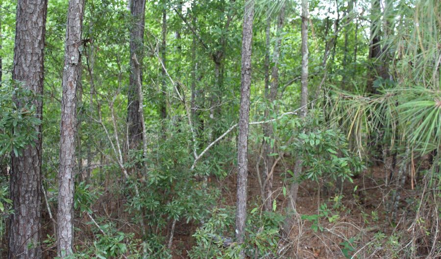 Alberson Road, Ashburn, GA 31714 - 0 Beds, 0 Bath