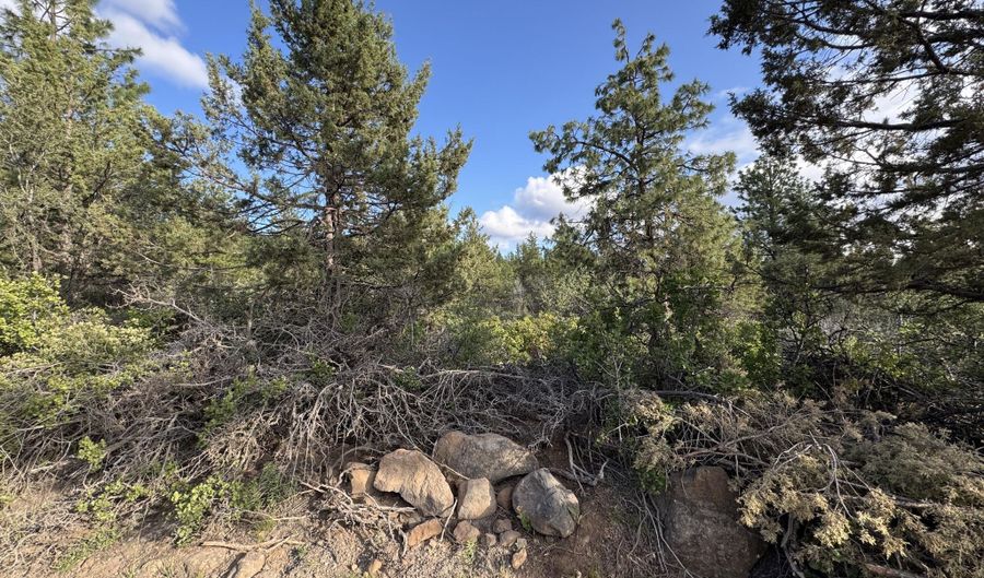 Grizzly Lane 14, Bonanza, OR 97623 - 0 Beds, 0 Bath