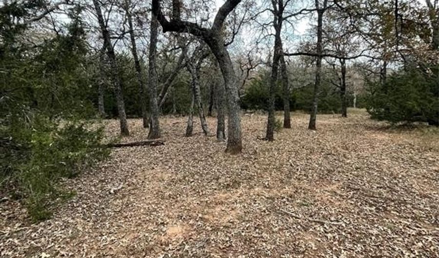 000 School Oaks Rd, Alvord, TX 76225 - 0 Beds, 0 Bath