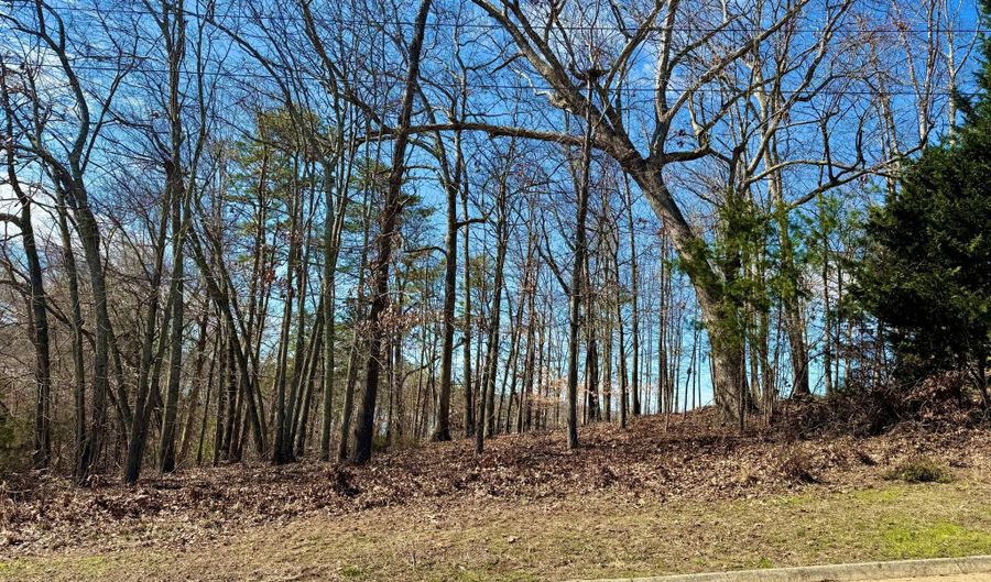 Lake Vista Drive lot 37, Baneberry, TN 37890 - 0 Beds, 0 Bath