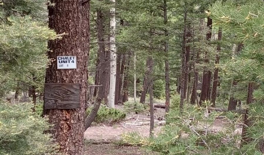 Back Basin lot 8, Angel Fire, NM 87710 - 0 Beds, 0 Bath