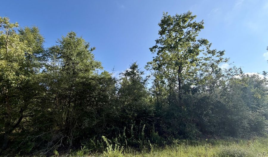 Rincon Street lot 2 & 3, Alford, FL 32420 - 0 Beds, 0 Bath