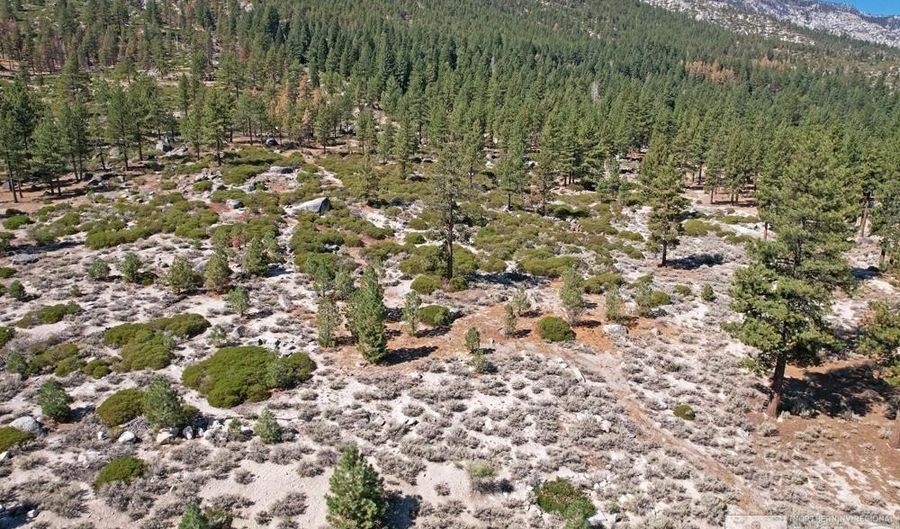 168 Five Creek Rd Lot 3, Gardnerville, NV 89460 - 0 Beds, 0 Bath