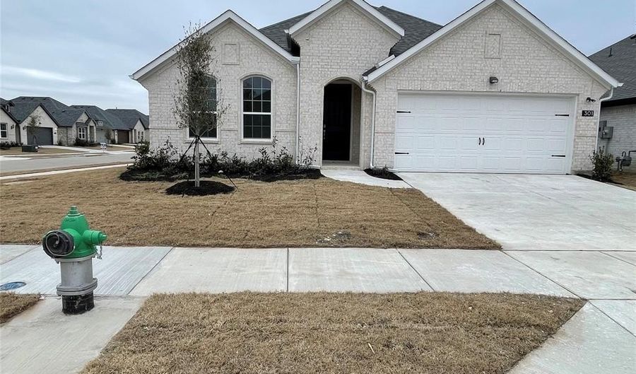 301 Tartane Dr, Anna, TX 75409 - 4 Beds, 2 Bath