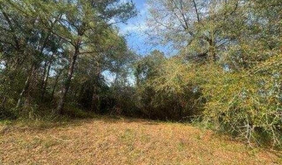 Delta Woods Drive, Bay Minette, AL 36507 - 0 Beds, 0 Bath