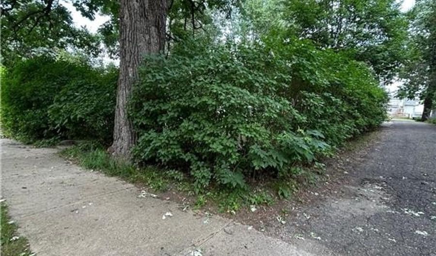 415 7th Ave E, Alexandria, MN 56308 - 12 Beds, 0 Bath