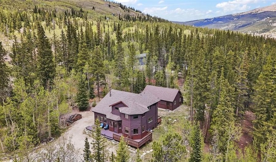 366 Quartzville Rd, Alma, CO 80420 - 3 Beds, 2 Bath