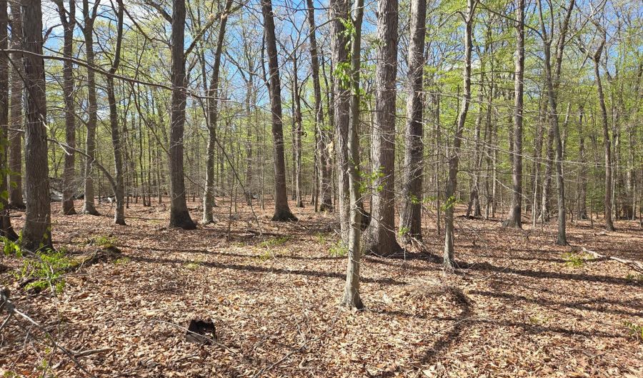NEWASA LANE, Accokeek, MD 20607 - 0 Beds, 0 Bath