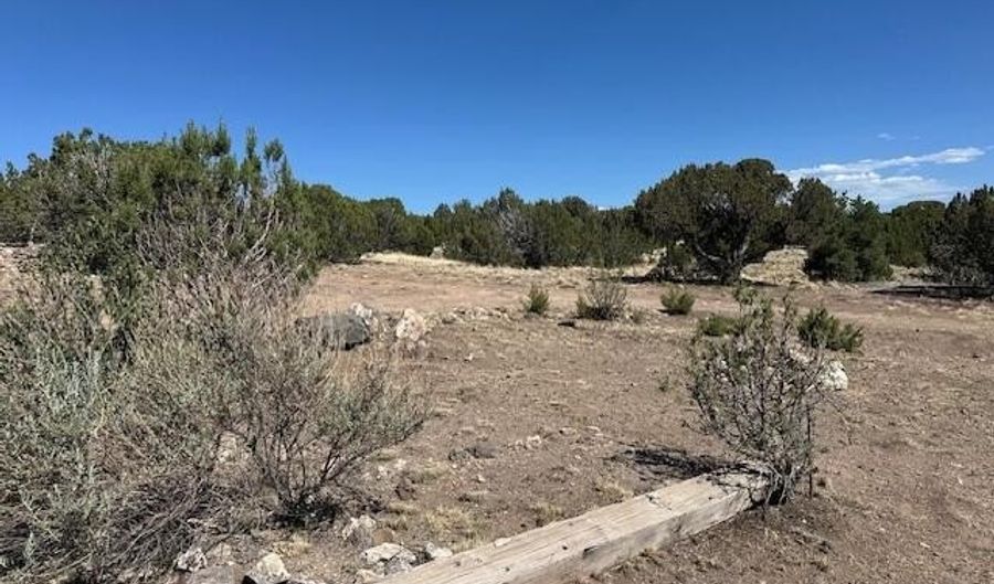 68 County Rd N8171, Concho, AZ 85924 - 0 Beds, 0 Bath