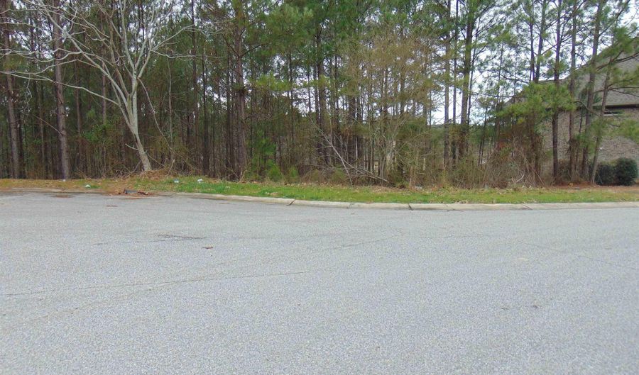 1210 GRANDE VIEW Ln 804, Alabaster, AL 35114 - 0 Beds, 0 Bath