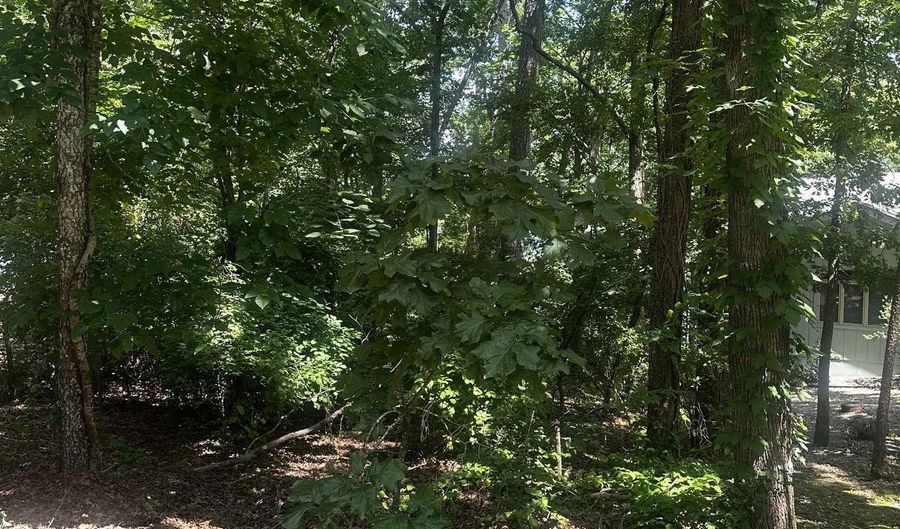 2 Otero Pl, Hot Springs Village, AR 71909 - 0 Beds, 0 Bath
