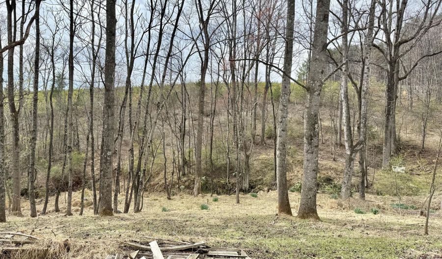4947 Stones Dairy Rd, Bassett, VA 24055 - 2 Beds, 1 Bath