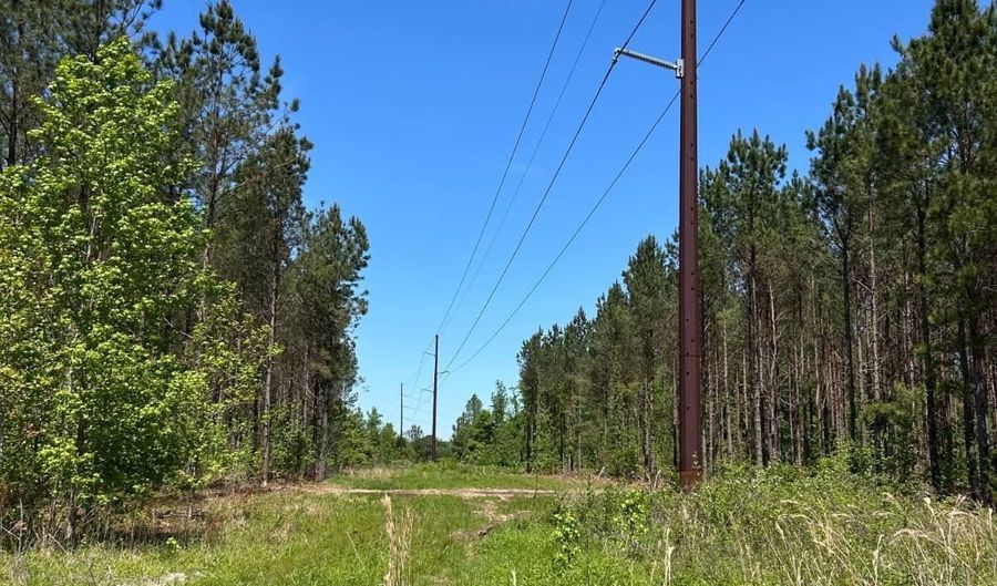 000 Bounty Acres Rd W, Bennettsville, SC 29512 - 0 Beds, 0 Bath