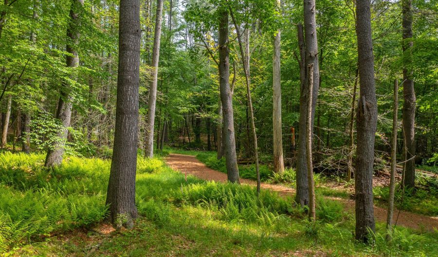 50 Popple Swamp Rd, Cornwall, CT 06754 - 0 Beds, 0 Bath